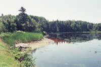 Nature, Landscape - IMG2008-0687-2299-Dm.tif