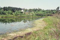 Nature, Landscape - IMG2008-0687-2326-Dm.tif