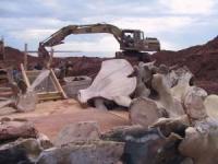 Blue Whale: Clean Bones/Machinery