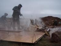 Blue Whale: Cleaning Bones