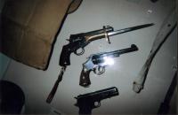 Various Hand Guns