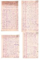 Carmena's Diary
