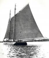 The Henry Miller