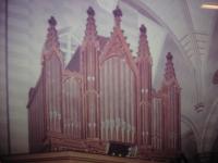 Organ: Older Picture