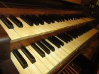 Organ: Keys