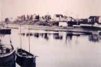 Murray Harbour Collection