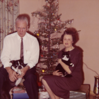 Un homme, une femme et deux chiens