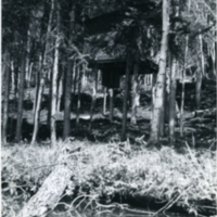 Une cabane dans un arbre