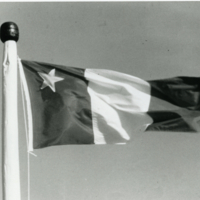 Drapeau acadien