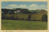 Cardigan Farm