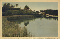 Montrose Trout Pond