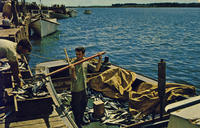 North Rustico Mackerel Fishing