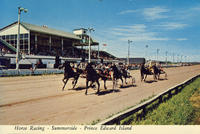 Summerside Horse Racing