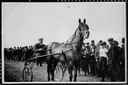 Dr. J. D. MacIntyre and "Lady Belle"