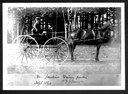 Dr. J.T. Jenkins' driving park