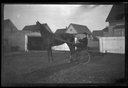 Boy with horse and sulky