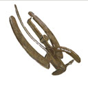 leveler, hoof