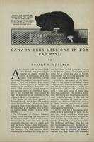 Canada Sees Millions in Fox Farming