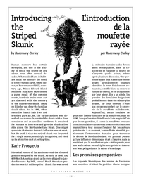 10 Introducing the Striped Skunk p24-34