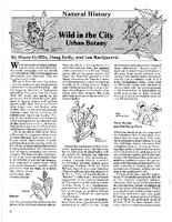 Wild in the City: Urban Botany