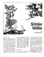 Stinky Willie