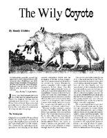 The Wily Coyote